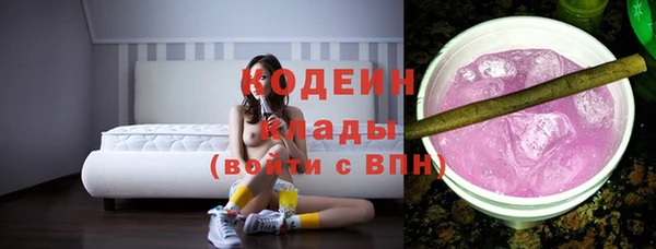 мдпв Инсар