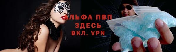 мдпв Инсар