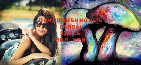мяу мяу кристалл Иннополис