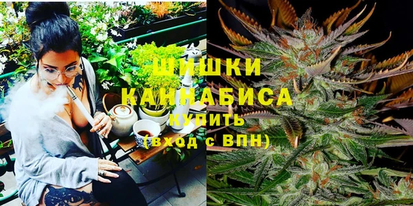 мдпв Инсар