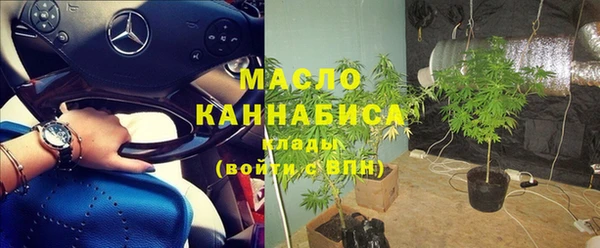 мдпв Инсар