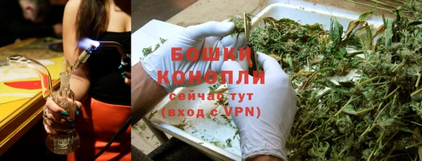 мдпв Инсар