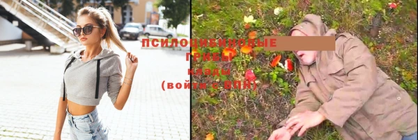 эйфоретик Зерноград