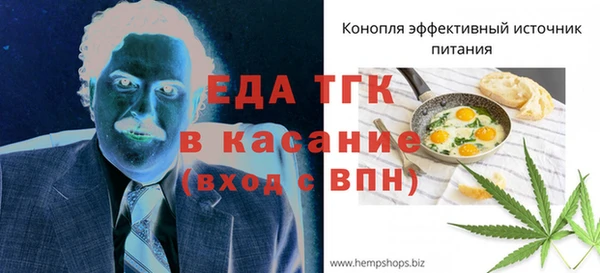 мдпв Инсар