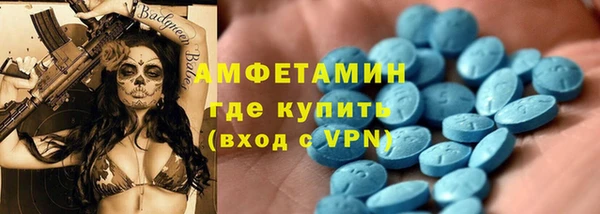 мдпв Инсар