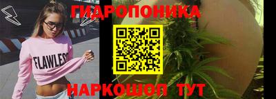 мдпв Тулун