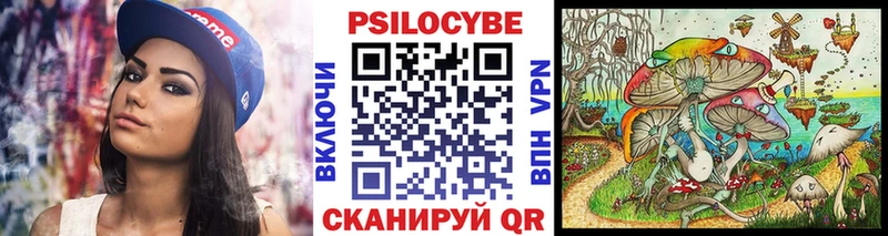 Псилоцибиновые грибы Cubensis  Раменское 