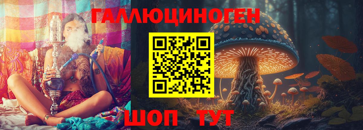 даркнет сайт  Галлюциногенные грибы MAGIC MUSHROOMS  Раменское  Вход с VPN  Псилоцибиновые грибы Psilocybine cubensis 
